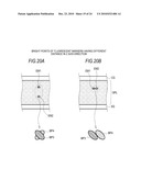 BIOLOGICAL SAMPLE IMAGE ACQUIRING APPARATUS, BIOLOGICAL SAMPLE IMAGE ACQUIRING METHOD, AND BIOLOGICAL SAMPLE IMAGE ACQUIRING PROGRAM diagram and image