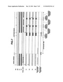 DIGITAL CAMERA APPARATUS AND RECORDING MEDIUM FOR RECORDING COMPUTER PROGRAM FOR SUCH APPARATUS diagram and image