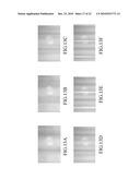 METHOD AND SYSTEM FOR THREE-DIMENSIONAL POLARIZATION-BASED CONFOCAL MICROSCOPY diagram and image