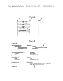 Type II Relay Node Initialization Procedures diagram and image