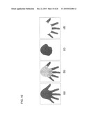 HAND-BASED GENDER CLASSIFICATION diagram and image