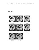 HAND-BASED GENDER CLASSIFICATION diagram and image