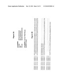 NEW PLASMA MEMBRANE BIOMARKERS PREFERENTIALLY EXPRESSED IN PANCREATIC BETA CELLS USEFUL IN IMAGING OR TARGETING BETA CELLS diagram and image