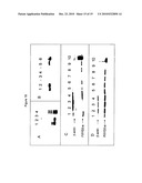 NEW PLASMA MEMBRANE BIOMARKERS PREFERENTIALLY EXPRESSED IN PANCREATIC BETA CELLS USEFUL IN IMAGING OR TARGETING BETA CELLS diagram and image