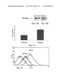 Compositions and Methods for Inducing Angiogenesis diagram and image