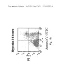 Compositions and Methods for Inducing Angiogenesis diagram and image