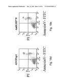 Compositions and Methods for Inducing Angiogenesis diagram and image