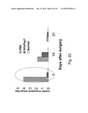 Compositions and Methods for Inducing Angiogenesis diagram and image