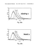 Compositions and Methods for Inducing Angiogenesis diagram and image