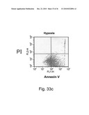 Compositions and Methods for Inducing Angiogenesis diagram and image