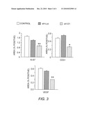 Compositions and methods for treating pancreatic cancer diagram and image