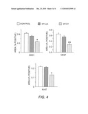 Compositions and methods for treating pancreatic cancer diagram and image