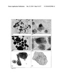 COMPOSITIONS AND METHODS FOR AUGMENTATION AND REGENERATION OF LIVING TISSUE IN A SUBJECT diagram and image