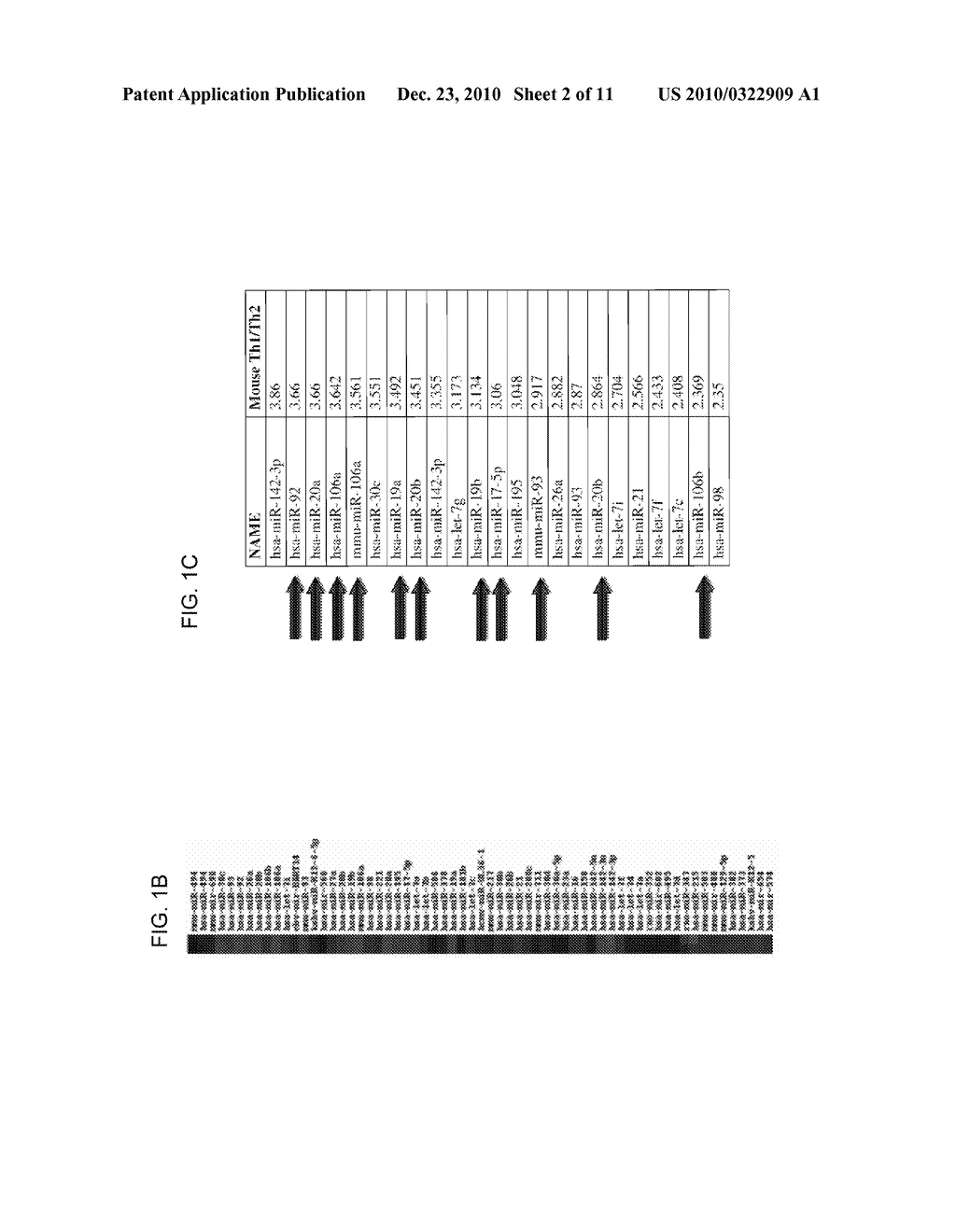 TH1-ASSOCIATED MICRORNAS AND THEIR USE FOR TUMOR IMMUNOTHERAPY - diagram, schematic, and image 03