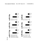 TH1-ASSOCIATED MICRORNAS AND THEIR USE FOR TUMOR IMMUNOTHERAPY diagram and image