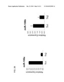 TH1-ASSOCIATED MICRORNAS AND THEIR USE FOR TUMOR IMMUNOTHERAPY diagram and image