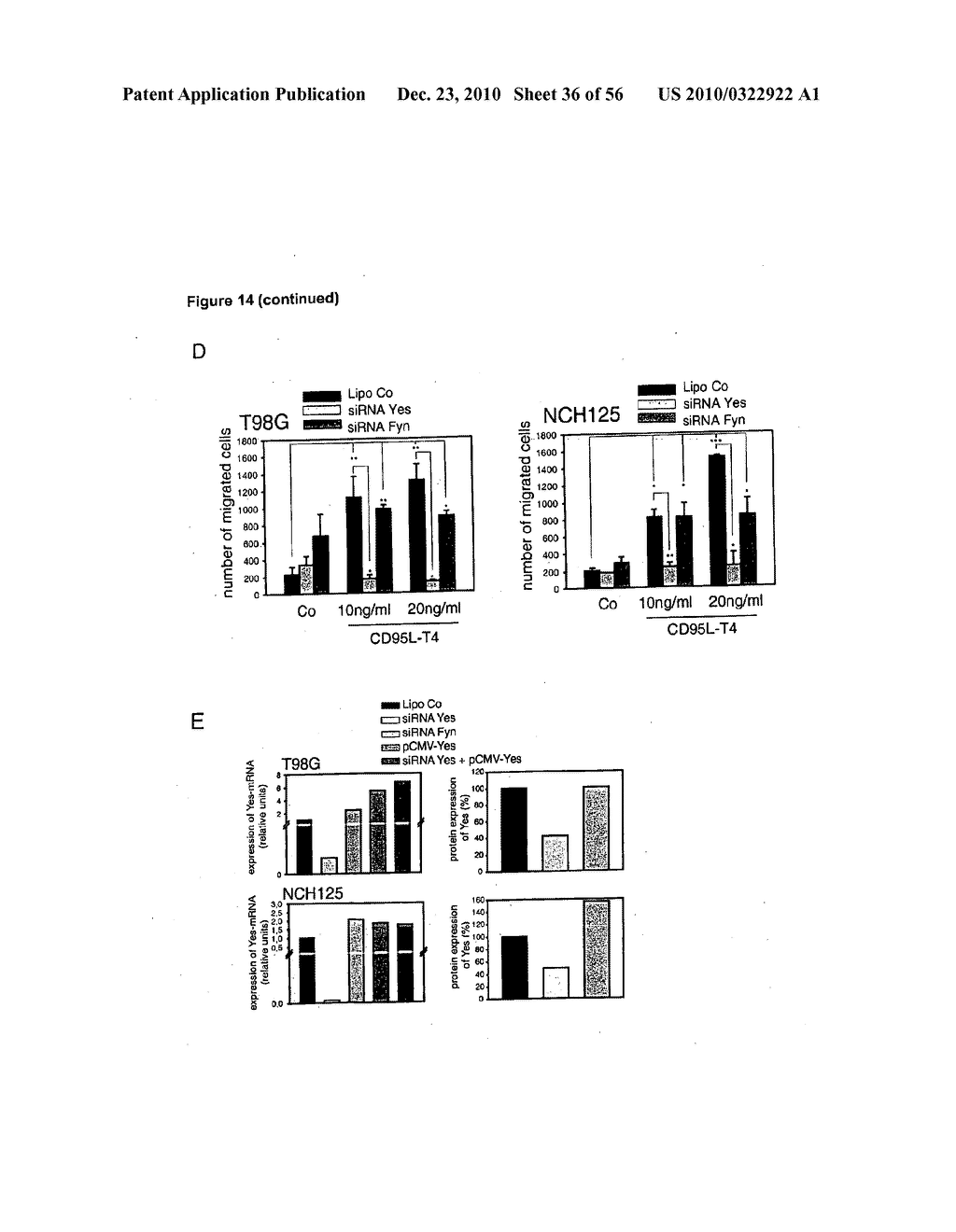 Neutralization of CD95 Activity Blocks Invasion of glioblastoma Cells In Vivo - diagram, schematic, and image 37