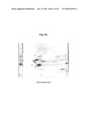 LM-1 ANTIBODIES, FUNCTIONAL FRAGMENTS, LM-1 TARGET ANTIGEN, AND METHODS FOR MAKING AND USING SAME diagram and image