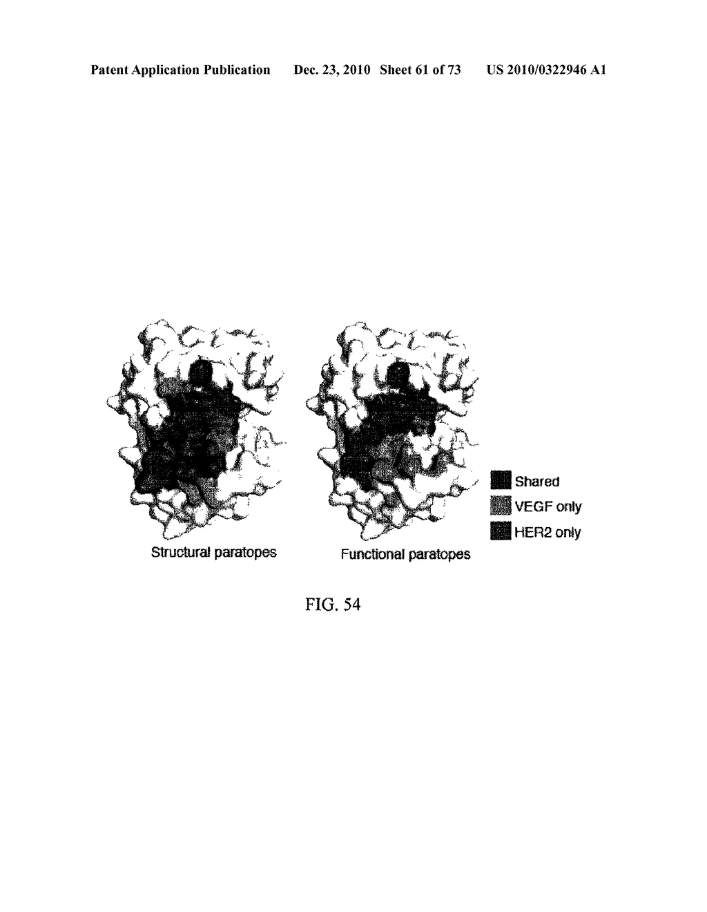 MULTISPECIFIC ANTIBODIES - diagram, schematic, and image 62