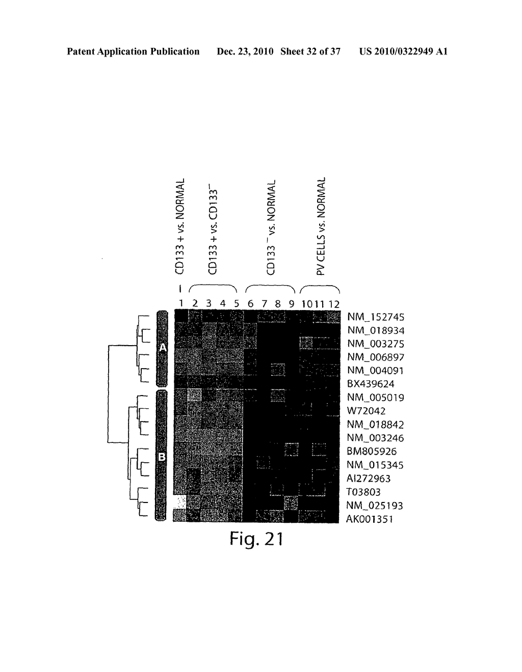 METHODS FOR DIAGNOSING AND TREATING ASTROCYTOMAS - diagram, schematic, and image 33