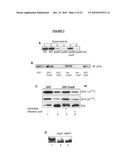 Targeting the histone code as a bacterial strategy for selectively modulating gene expression diagram and image