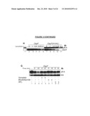 Targeting the histone code as a bacterial strategy for selectively modulating gene expression diagram and image