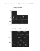 Targeting the histone code as a bacterial strategy for selectively modulating gene expression diagram and image