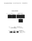 Targeting the histone code as a bacterial strategy for selectively modulating gene expression diagram and image