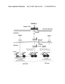 Targeting the histone code as a bacterial strategy for selectively modulating gene expression diagram and image