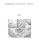 Targeting the histone code as a bacterial strategy for selectively modulating gene expression diagram and image