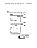 In Vivo Delivery Of Double Stranded RNA To a Target Cell diagram and image