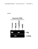 MESENCHYMAL STEM CELL CONDITIONED MEDIUM diagram and image