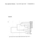 MESENCHYMAL STEM CELL CONDITIONED MEDIUM diagram and image