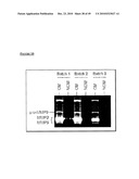 MESENCHYMAL STEM CELL CONDITIONED MEDIUM diagram and image