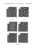 Polymeric material with surface microdomains diagram and image