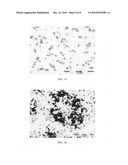 Chemical toners comprising modified pigments diagram and image