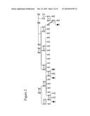 Methods for identifying analgesic agents diagram and image