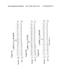 Methods for identifying analgesic agents diagram and image