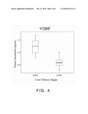 Serum Biomarkers for Diagnosing Liver Fibrosis and Method for Measuring the Same diagram and image