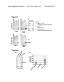 Baculoviruses With Enhanced Virion Production and a Method for the Production of Baculoviruses diagram and image