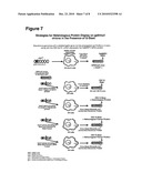 Baculoviruses With Enhanced Virion Production and a Method for the Production of Baculoviruses diagram and image