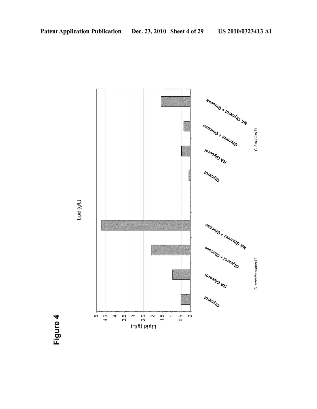 Production of Oil in Microorganisms - diagram, schematic, and image 05