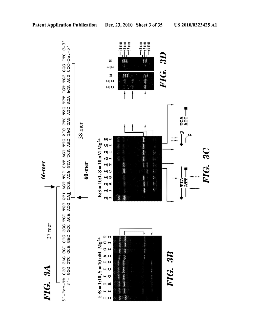 DETECTION OF NUCLEIC ACID DIFFERENCES USING COMBINED ENDONUCLEASE CLEAVAGE AND LIGATION REACTIONS - diagram, schematic, and image 04