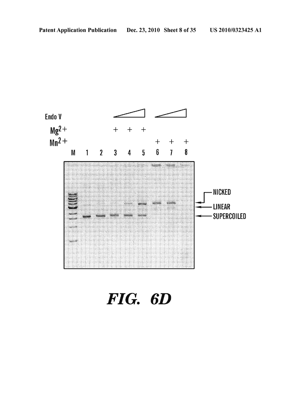 DETECTION OF NUCLEIC ACID DIFFERENCES USING COMBINED ENDONUCLEASE CLEAVAGE AND LIGATION REACTIONS - diagram, schematic, and image 09