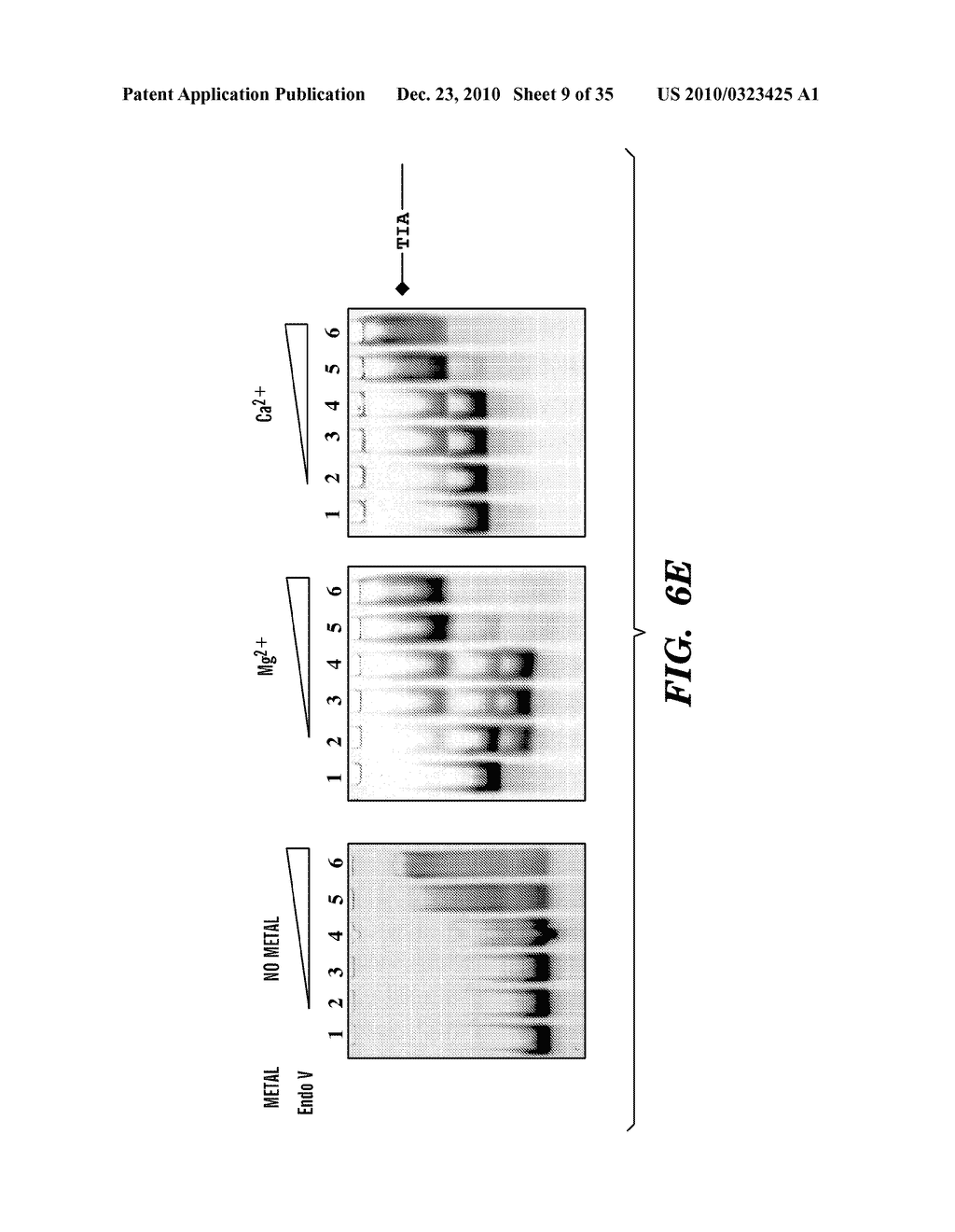 DETECTION OF NUCLEIC ACID DIFFERENCES USING COMBINED ENDONUCLEASE CLEAVAGE AND LIGATION REACTIONS - diagram, schematic, and image 10