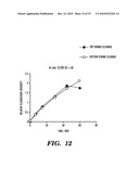 DETECTION OF NUCLEIC ACID DIFFERENCES USING COMBINED ENDONUCLEASE CLEAVAGE AND LIGATION REACTIONS diagram and image