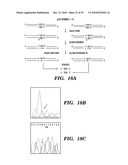 DETECTION OF NUCLEIC ACID DIFFERENCES USING COMBINED ENDONUCLEASE CLEAVAGE AND LIGATION REACTIONS diagram and image