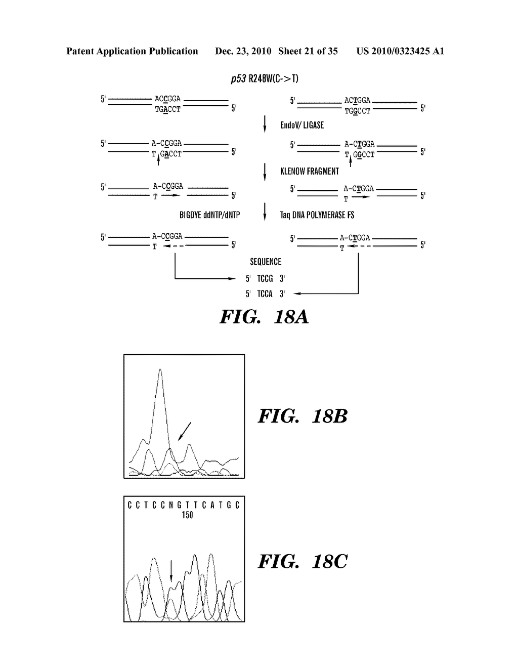 DETECTION OF NUCLEIC ACID DIFFERENCES USING COMBINED ENDONUCLEASE CLEAVAGE AND LIGATION REACTIONS - diagram, schematic, and image 22