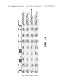 DETECTION OF NUCLEIC ACID DIFFERENCES USING COMBINED ENDONUCLEASE CLEAVAGE AND LIGATION REACTIONS diagram and image