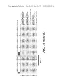 DETECTION OF NUCLEIC ACID DIFFERENCES USING COMBINED ENDONUCLEASE CLEAVAGE AND LIGATION REACTIONS diagram and image